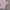 Strapless mini jurk met print – Prism Enchant