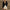 Elegante lange mouw cardigan met gouden knopen - Sophie