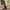 Vintage dames bomberjack van leer – Emma