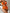 Hoge taille bikini voor dames met trendy pasvorm – Lureya