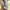 Casual hoodie jurk met capuchon voor dames – Sophie