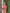Zomerse dames set met uitlopende mouwen en broek – Elvyna