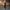 Maxi kanten off-shoulder galajurk voor dames – Isolde