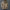 Grof Gebreide Coltrui met Stijlvolle Details – Sophie