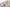 Luxe winterjas dames nep bont warm en stijlvol – Emma