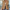 Elegant Getailleerde Blazer – Catinka