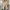 Elegant Getailleerde Blazer – Catinka
