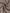 Heren Slim-Fit Athleisure Jas & Broeken Set - Gary