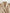 Cropped trenchcoat met chique uitstraling voor dames – Emma