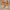 Comfortabele zomer sandalen met boho details - Levoria