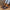 Comfort sandalen met voetboogsteun en demping – Saphira