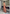 Chique open-back jumpsuit dames voor elke gelegenheid – Lara