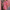 Dames jumpsuit met tailleband en zomerse elegantie – Lorena