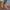 Trendy zomersandalen met slingback en open teen - Sophie