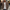 Heren cardigan met knopen voor herfst en winter – Simon