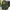 Gebreid button-down vest voor heren – Ruben