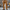 Stoere corduroy cargo broek voor heren – Damian
