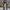 Stoere corduroy cargo broek voor heren – Damian