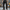 Stoere corduroy cargo broek voor heren – Damian