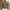 Trendy lange mouwen polo heren – Lucas