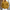 Trendy lange mouwen polo heren – Lucas