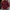 Heren Coltrui voor Herfst & Winter - Charles
