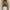One-Shoulder Badpak Goud Details Luxe Look – Marvessa