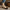 Orthopedische dames sandalen met verstelbare pasvorm en comfort - Loretta