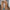 Teddy Hoodie met Ultiem Comfort – Mila