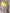 Gebreid Vest Met Strik Voor Elke Look – Lara