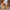 Comfortabele zomer sandalen met boho details - Levoria