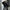 Dames leren jas oversized stoer stijlvol en luxe – Rayna