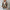 Winddichte warme herfstjas voor dames - Aimee