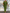Elegante Maxi Jurk met Ronde Hals – Julia