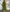 Elegante Maxi Jurk met Ronde Hals – Julia