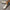 Comfortabele Orthopedische Schoenen voor Actief Leven – Nova