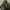 Grof Gebreide Coltrui met Stijlvolle Details – Sophie