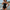 Monokini Badpak Halter Ceintuur Stijlvol Design – Naverra