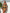 Zwemkleding dames boho push-up met cover-up – Ayora
