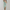 Feestjurk Dames Elegant Luxe Galajurk Lange Jurk - Olivia