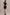 Mini Dress - Shine Bright