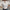Comfortabele Blouse met Tijdloos Ontwerp – Eliane