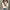 Lichte Turtleneck Pullover met Elegante Pasvorm – Sophie