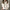 Lichte Turtleneck Pullover met Elegante Pasvorm – Sophie