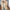 Teddy Hoodie met Ultiem Comfort – Mila