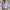 Stijlvolle blouse met kraag en rimpeldetails – Elise