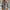 Stijlvolle blouse met kraag en rimpeldetails – Elise