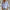 Stijlvolle blouse met kraag en rimpeldetails – Elise