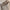 Op Maat Gemaakte Hoge Taille Heren Harem Broek – Raphael