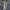 Dames stretch broek laag taille lang comfortabel en casual – Norellia